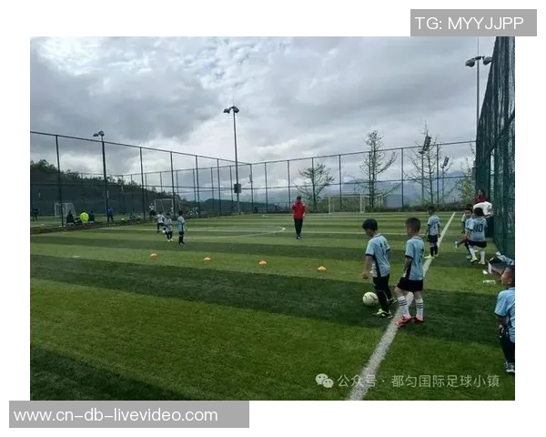 大荣足球：携手共进打造青少年足球梦想的新天地