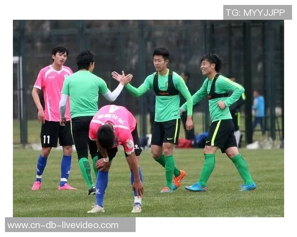 追逐绿茵场上的梦想与激情我的足球梦之旅 追逐绿茵场上的梦想与激情我的足球梦之旅