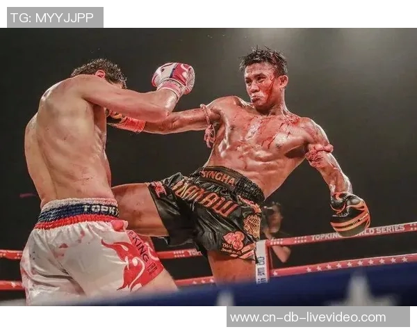 田鑫挑战播求精彩对决视频回顾两位拳手的巅峰时刻与精彩瞬间 田鑫挑战播求精彩对决视频回顾两位拳手的巅峰时刻与精彩瞬间